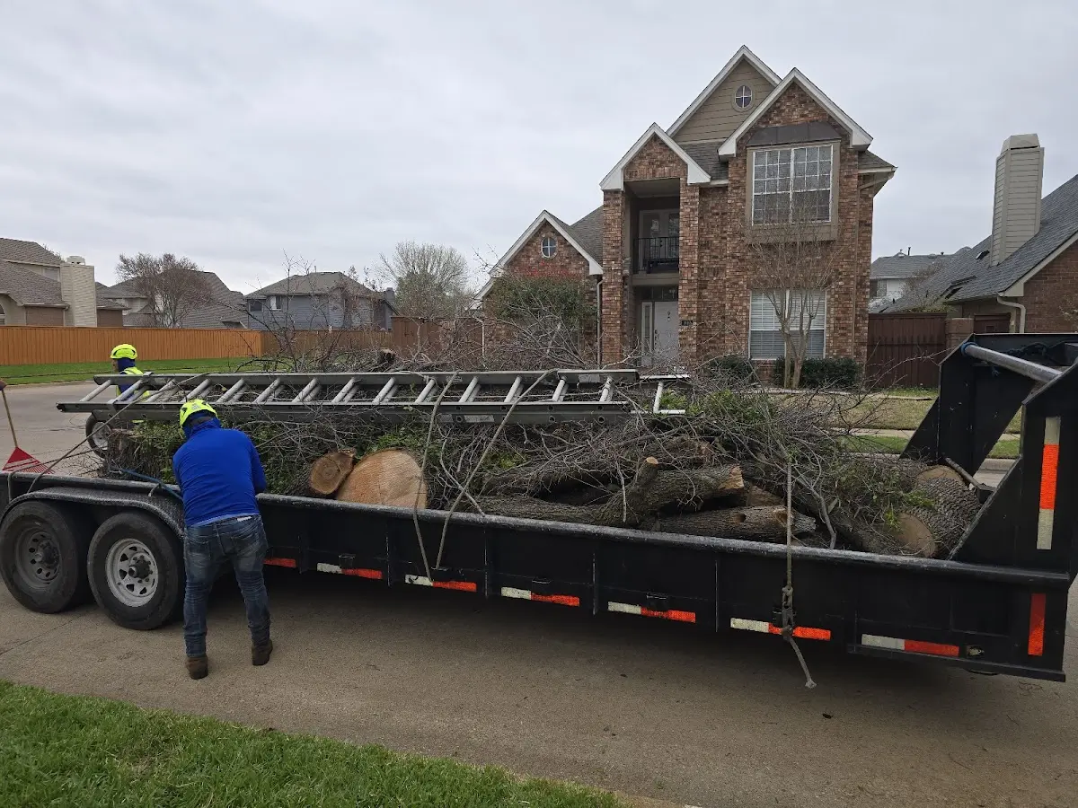 Expert Lot Clearing with proper safety equipment in Dale